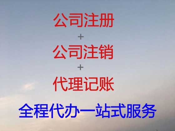 临沂公司注册-财务代理记账